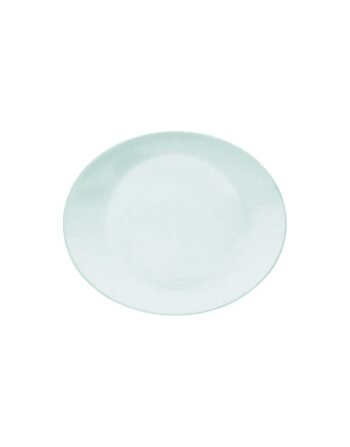 Πιάτο Πορσελάνης κρέατος steak λευκό 29.5 cm
